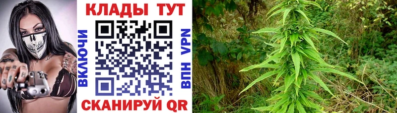 Где продают наркотики Лермонтов АМФ  МЕФ  Кокаин 