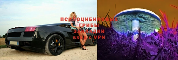 метадон Алексин