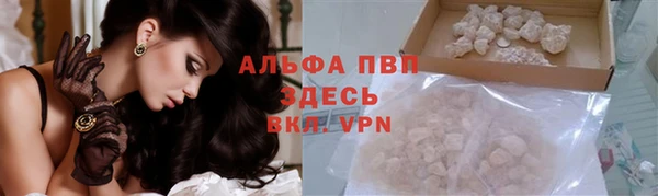метадон Алексин