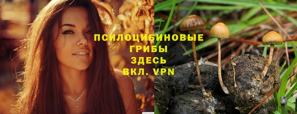 спиды Алексеевка